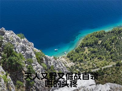 夫人又野又倔战首领哄的头疼小说宋安安战砚承大结局-精彩美文宋安安战砚承免费阅读