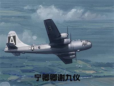 宁卿卿谢九仪小说最后结局-宁卿卿谢九仪完结版免费阅读