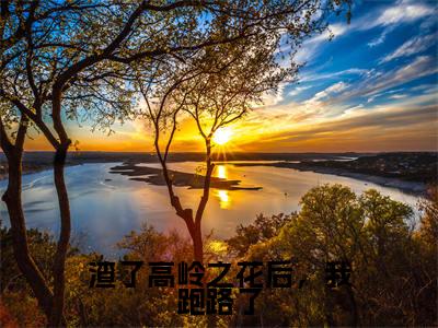 邹言姜海吟渣了高岭之花后,我跑路了在线小说-渣了高岭之花后,我跑路了全文无删减版阅读
