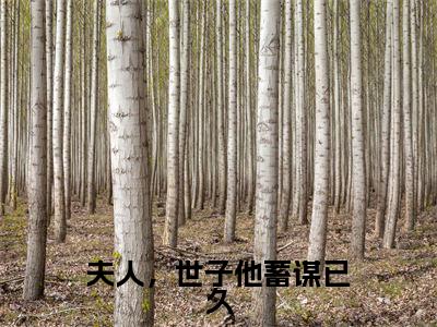 夫人,世子他蓄谋已久正版小说全文阅读陆昭昭沈嘉衍无删减版