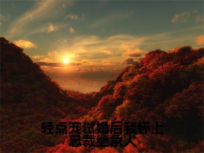 轻点宠试婚后我怀上总裁继承人小说(顾可欣江煜)全文免费阅读大结局_(轻点宠试婚后我怀上总裁继承人)顾可欣江煜小说免费阅读无弹窗