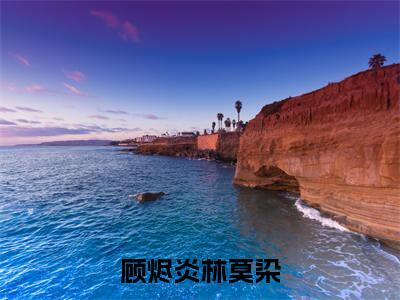 顾烬炎林莫染精彩小说（林莫染顾烬炎）在哪免费看-小说（林莫染顾烬炎）全文完整版免费阅读