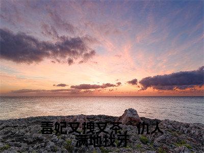 沈云绾为毒妃又拽又茶,仇人满地找牙的小说叫什么-最新小说毒妃又拽又茶,仇人满地找牙全文阅读