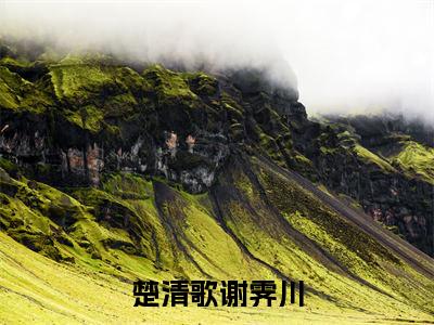 楚清歌谢霁川楚清歌谢霁川正版美文欣赏楚清歌谢霁川小说全文完整版免费阅读