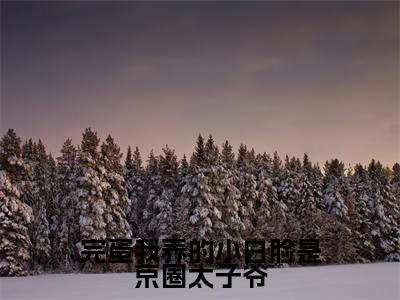 完蛋我养的小白脸是京圈太子爷小说全文免费阅读-姜辞忧小说最新章节列表