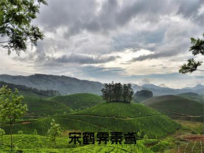 小说宋鹤霁秦鸢免费阅读-（秦鸢宋鹤霁）全文无弹窗阅读