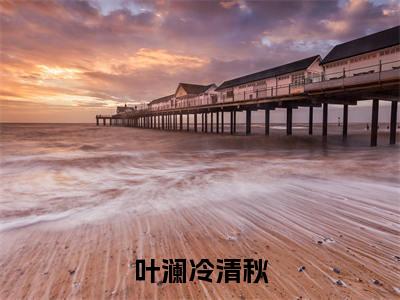 叶澜冷清秋(冷清秋叶澜)小说全文免费阅读无弹窗-叶澜冷清秋全章节在线阅读(冷清秋叶澜免费+后续)