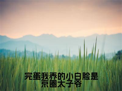 完蛋我养的小白脸是京圈太子爷(姜辞忧)小说全文免费读无弹窗大结局_完蛋我养的小白脸是京圈太子爷小说全文免费阅读最新章节列表