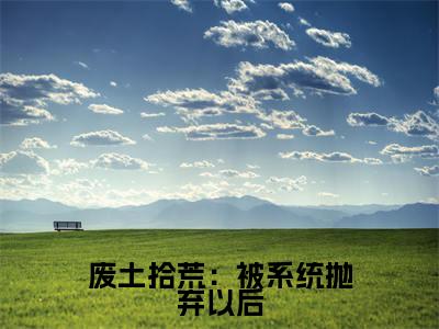 废土拾荒:被系统抛弃以后小说(苏嫣)全文免费阅读无弹窗大结局_废土拾荒:被系统抛弃以后全文免费完结版阅读(苏嫣)