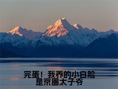 小说名字是:完蛋!我养的小白脸是京圈太子爷小说免费阅读无弹窗,小说名字是:姜辞忧的小说在线阅读无删减