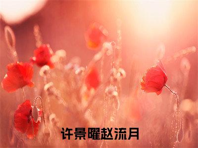 （赵流月许景曜）全文免费阅读无弹窗大结局_许景曜赵流月最新章节列表_笔趣阁
