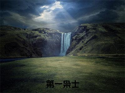 第一枭士小说(杨欢)全文在线阅读无弹窗大结局第一枭士
