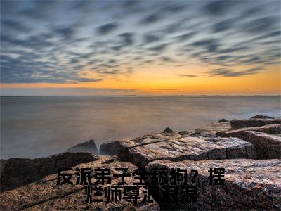 反派弟子全舔狗?摆烂师尊浪浪浪(秦染)小说免费阅读无弹窗大结局_(秦染阅读无弹窗)最新章节列表