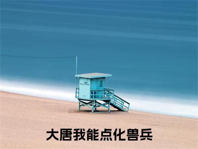 大唐我能点化兽兵小说(卢哲)全文免费阅读无弹窗大结局_大唐我能点化兽兵完整版最新阅读_笔趣阁(卢哲)