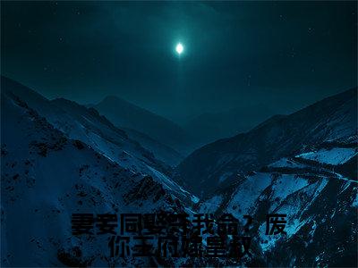 妻妾同娶夺我命?废你王府嫁皇叔(沈天娇)全文免费阅读无弹窗_沈天娇最新小说精彩推荐