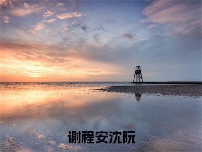 谢程安沈阮(大结局小说全集完整版)沈阮谢程安小说_谢程安沈阮全文阅读笔趣阁