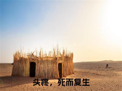 头疼,死而复生小说(赫连月)全文免费阅读无弹窗大结局_头疼,死而复生全文免费完结版阅读(赫连月)