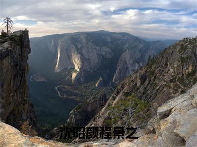 沈昭颜程景之热门小说目录推荐沈昭颜程景之全文完整版阅读