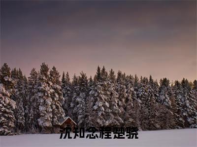 沈知念程楚骁「精彩小说」无弹窗阅读沈知念程楚骁大结局阅读