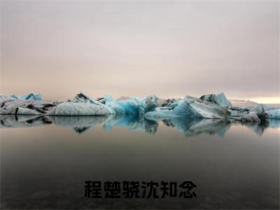 程楚骁沈知念全文免费在线阅读_(程楚骁沈知念免费阅读无弹窗)沈知念程楚骁全文免费完结版阅读(程楚骁沈知念)