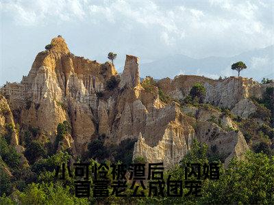 宋晴韩洵(小可怜被渣后,闪婚首富老公成团宠)全文免费阅读无弹窗_宋晴韩洵小可怜被渣后,闪婚首富老公成团宠最新章节免费阅读_笔趣阁