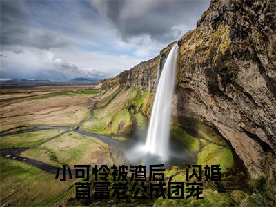 小可怜被渣后，闪婚首富老公成团宠在线阅读（宋晴韩洵）全文无弹窗大结局_宋晴韩洵全文在线阅读无弹窗