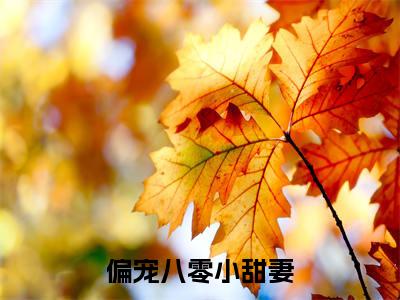 盛敬锋苏璎(偏宠八零小甜妻)免费小说完整版阅读-(盛敬锋苏璎)最新章节在线阅读