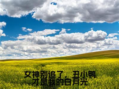 林晨大结局免费阅读女神别追了,丑小鸭才是我的白月光最新热点小说