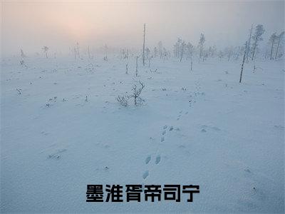 墨淮胥帝司宁小说(墨淮胥帝司宁)全文免费阅读无弹窗大结局_墨淮胥帝司宁小说最新章节列表_笔趣阁