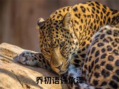 乔初语许承泽(乔初语许承泽小说)全文免费阅读无弹窗大结局_(乔初语许承泽小说)乔初语许承泽最新章节列表