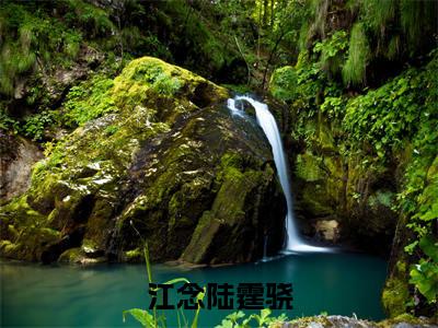 陆霆骁江念江念陆霆骁免费阅读无弹窗小说陆霆骁江念最新章节