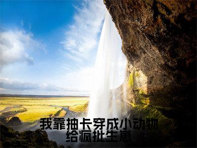(云柚)是什么小说-(我靠抽卡穿成小动物给疯批生崽)全文免费阅读无弹窗大结局(云柚)最新章节列表