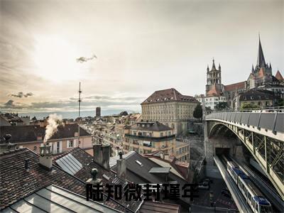 陆知微封瑾年(陆知微封瑾年)全文免费阅读无弹窗大结局_(陆知微封瑾年小说免费阅读)_笔趣阁