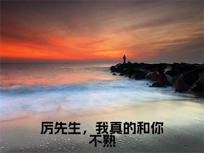 厉先生，我真的和你不熟（厉寒霆宁夏）免费阅读无弹窗大结局_厉先生，我真的和你不熟小说（厉寒霆宁夏）免费阅读最新章节列表