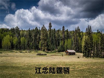 江念陆霆骁(陆霆骁江念)全文在线阅读无弹窗_江念陆霆骁小说全文大结局