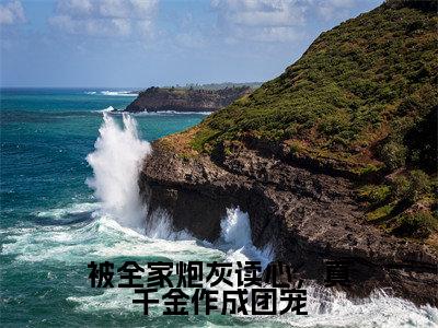 被全家炮灰读心,真千金作成团宠姜南书小说-被全家炮灰读心,真千金作成团宠小说全文免费阅读