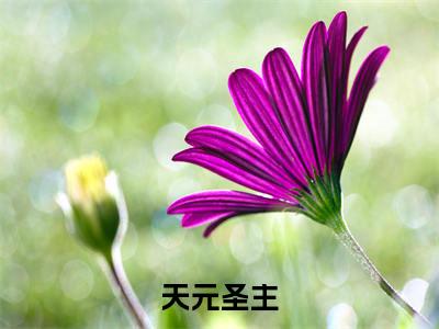天元圣主全文最新章节(苏凌)全文免费阅读无弹窗大结局_苏凌免费阅读