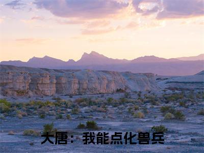 大唐：我能点化兽兵（卢哲）全文免费阅读无弹窗大结局_大唐：我能点化兽兵免费最新章节列表_笔趣阁