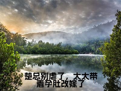 楚总别虐了,太太带着孕肚改嫁了林惜楚时晏全文免费阅读无弹窗大结局_林惜楚时晏(楚总别虐了,太太带着孕肚改嫁了)全文阅读_笔趣阁