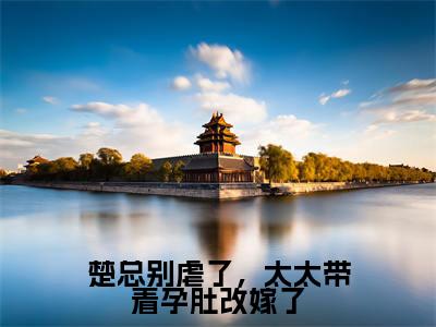 楚总别虐了,太太带着孕肚改嫁了在线阅读(林惜楚时晏)全文免费阅读无弹窗大结局_(楚总别虐了,太太带着孕肚改嫁了全文免费阅读)最新章节列表