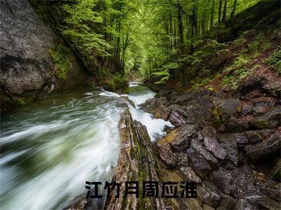 周应淮江竹月江竹月周应淮小说全文免费阅读_周应淮江竹月(江竹月周应淮)最新章节列表笔趣阁