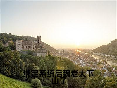 绑定系统后魏老太下山了(魏淑芬林蕊)全文免费阅读无弹窗大结局_绑定系统后魏老太下山了最新章节列表