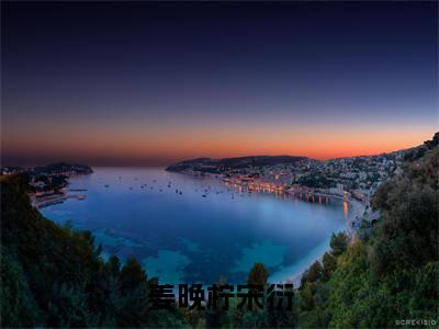 姜晚柠宋衍(姜晚柠宋衍)小说全文-姜晚柠宋衍小说免费阅读大结局