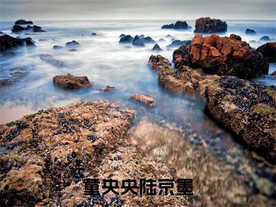 童央央陆京墨(童央央陆京墨)全文免费阅读无弹窗大结局_(童央央陆京墨)童央央陆京墨最新章节列表