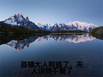 首辅大人别追了,夫人说她不爱了(战萧宴雯茵全章节完整版)免费阅读_(首辅大人别追了,夫人说她不爱了)战萧宴雯茵全文无删减免费阅读