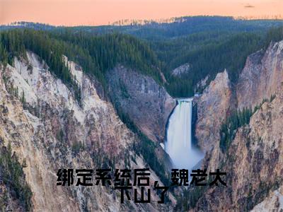 绑定系统后,魏老太下山了全文免费阅读无弹窗大结局_绑定系统后,魏老太下山了(魏淑芬林蕊)最新章节列表_笔趣阁