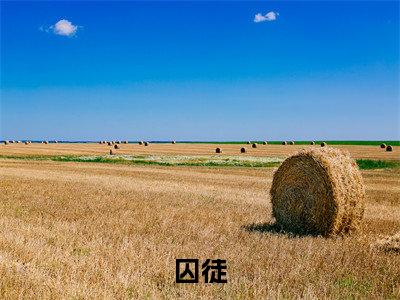囚徒(徐小蝶程烈青)全文免费阅读无弹窗大结局_囚徒最新章节列表