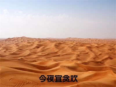 今夜宜贪欢沈初谢泊霆小说免费阅读-今夜宜贪欢抖音新书热荐