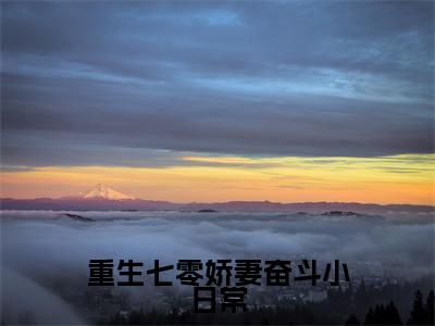 重生七零娇妻奋斗小日常(唐知书)全文免费阅读无弹窗_重生七零娇妻奋斗小日常(唐知书)全文阅读-笔趣阁