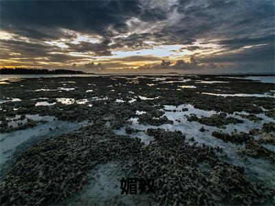 媚奴(苏锦诗)全文免费阅读_媚奴免费阅读最新章节列表笔趣阁(苏锦诗)